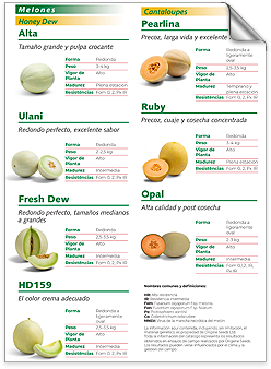 America Latina Brochure June 2025